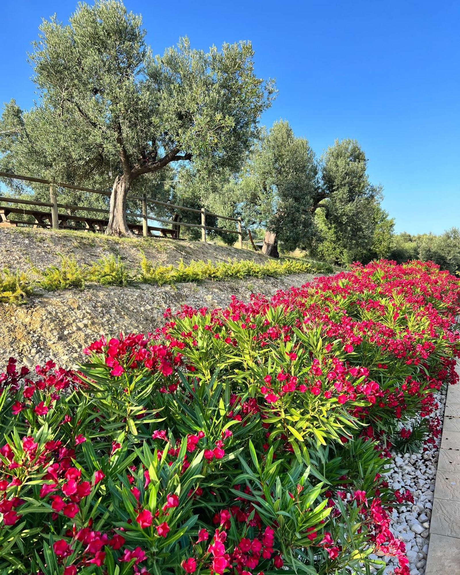Agrirelais Collelago Massignano Εξωτερικό φωτογραφία